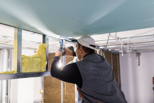 Best Eco-Friendly Insulation in Galax, VA